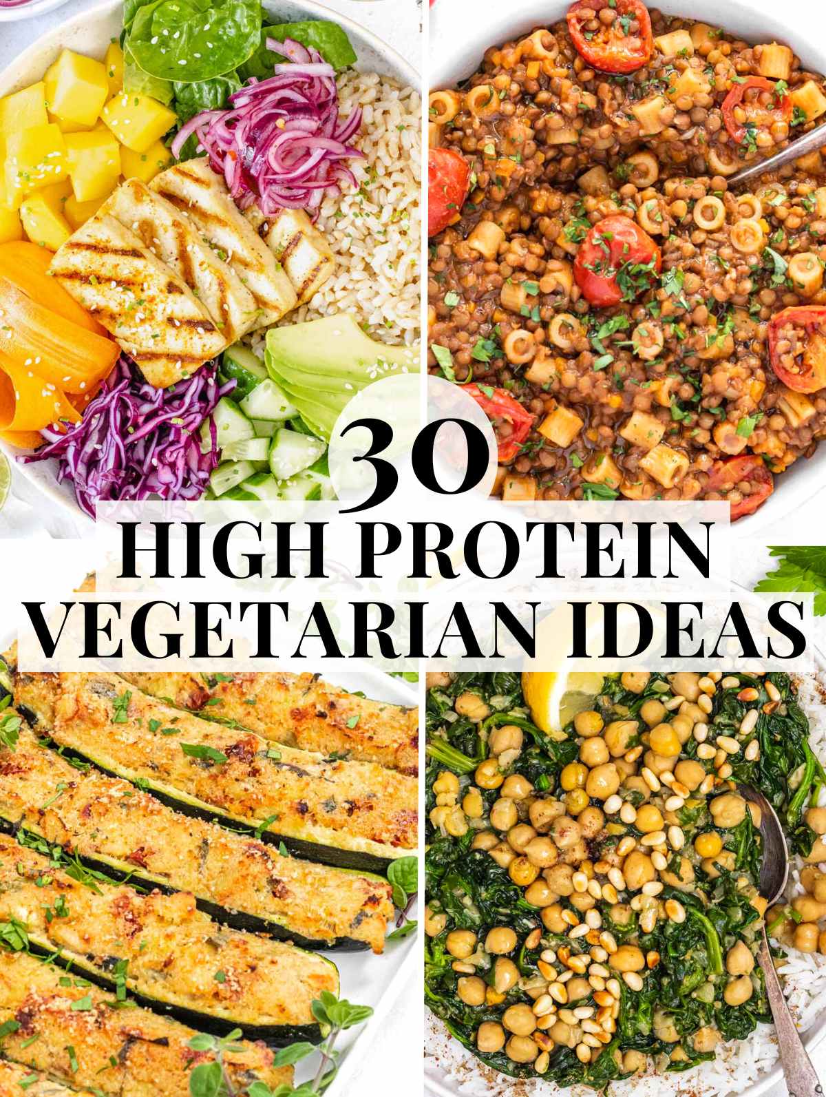 Unleash the Power of Plants: Your Ultimate Guide to Plant-Based Protein