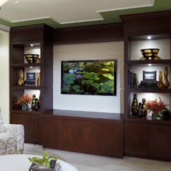 Beyond the Box: Designing Transformative Wall Units for Your Living Room