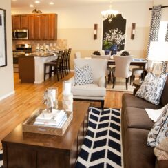 Seamless Style: Mastering the Art of Living Room and Dining Room Combo Decorating