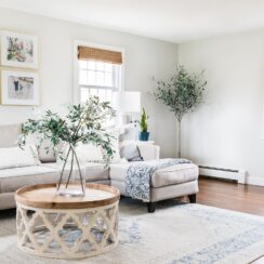The Art of Affordable Ambiance: How To Decorate A Living Room On A Budget Ideas