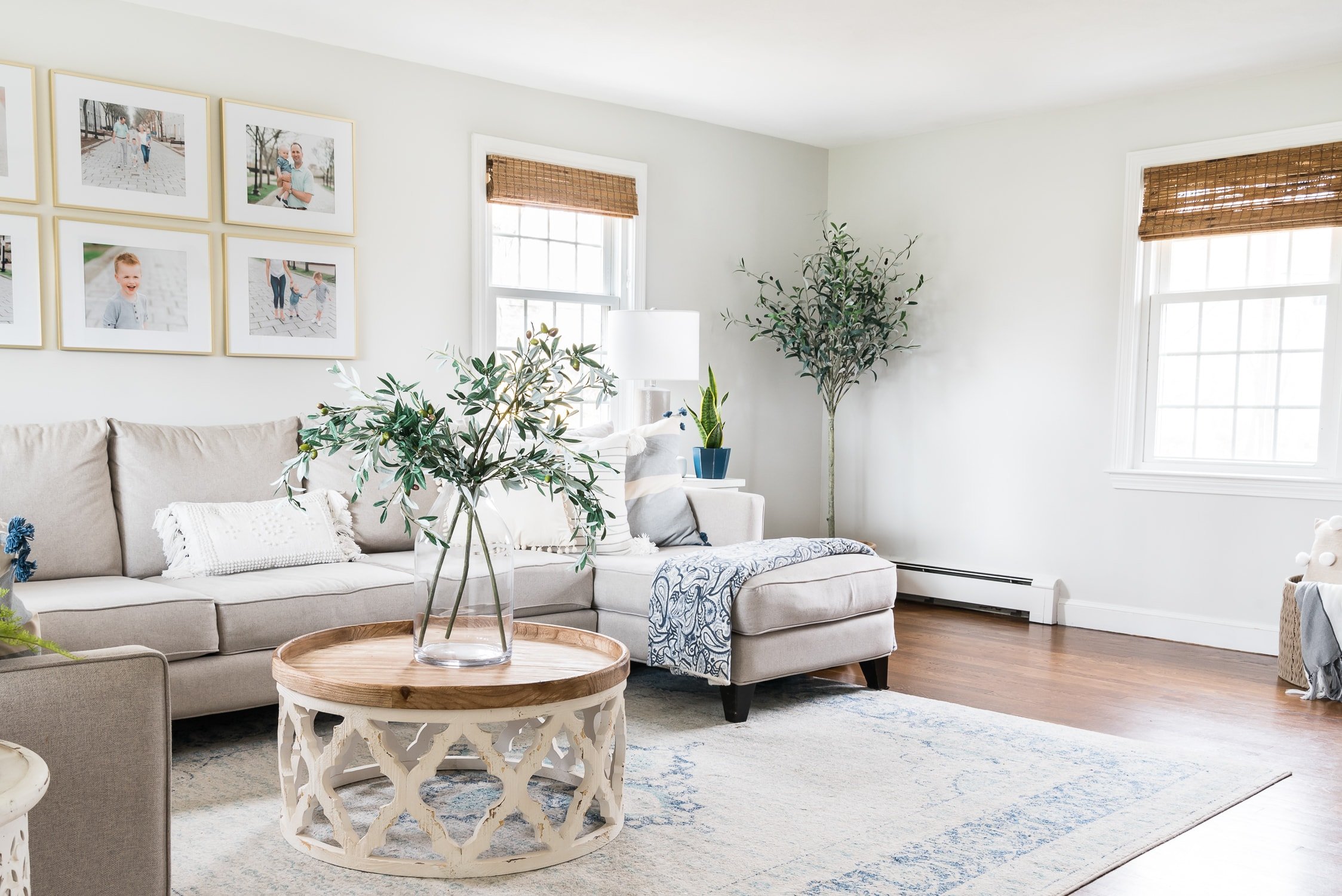 The Art of Affordable Ambiance: How To Decorate A Living Room On A Budget Ideas
