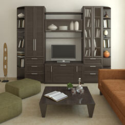 The Art of Organization and Elegance: Cabinets For Living Room Designs