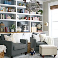 The Art of the Curated Display: Living Room Bookshelf Decorating Ideas
